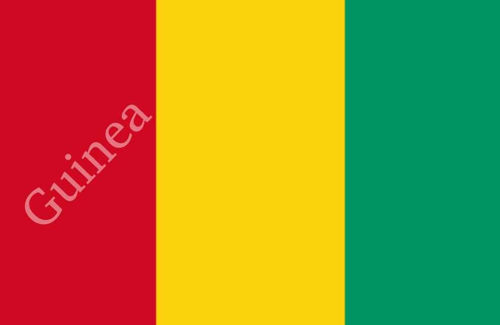daftar Skuad Guinea Conakry di Piala Afrika 2021