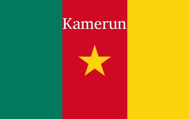 Daftar Skuad Kamerun di Piala Afrika 2021