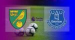 Hasil Norwich City vs Everton