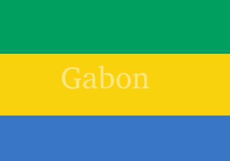 Daftar Skuad Gabon di Piala Afrika 2021