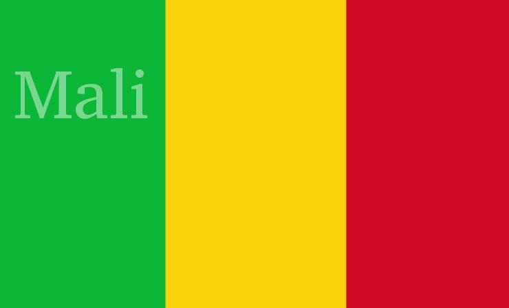 Daftar Skuad Mali di Piala Afrika 2021