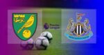 Hasil Norwich City vs Newcastle