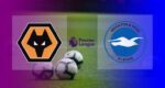 Hasil Wolves vs Brighton